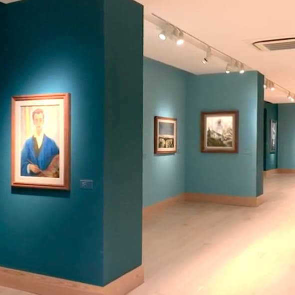 Museo Kaluz